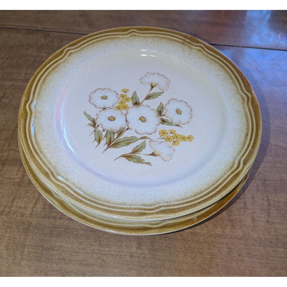 Vintage Grannycore Snow Song Dinner Floral Salad Plates Set of 2 ~7.5"